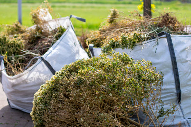 Best Moving and Downsizing Cleanouts  in La Vernia, TX